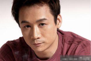 惩戒明星,揭秘娱乐圈的严规与后果