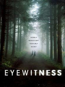 目击证人美剧在线播放