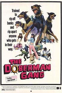 六犬大盗 在线播放,在线观看，揭秘神秘盗贼团的传奇冒险