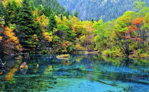 视频九寨沟,自然奇观与生态宝库的绝美画卷