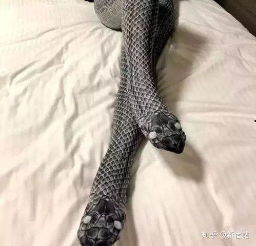 美女丝袜藏蛇,揭秘美女不为人知的惊悚秘密