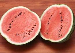 唐砖在线观看免费西瓜,穿越时空的奇幻之旅，免费西瓜带你领略古风魅力