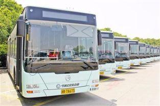 宁波最新公交车爆料