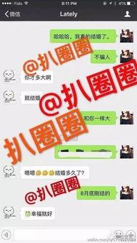 新闻爆料贴纸图片大全,趣味与实用并存