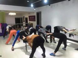 舞蹈室射丝袜,探索舞蹈室中的丝滑魅力