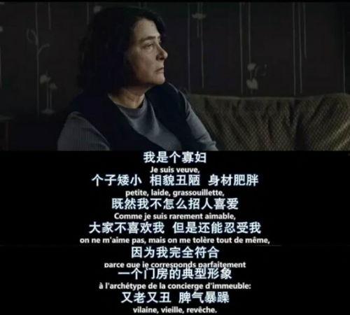 刺猬的优雅电影免费观看,探寻孤独与爱的电影之旅