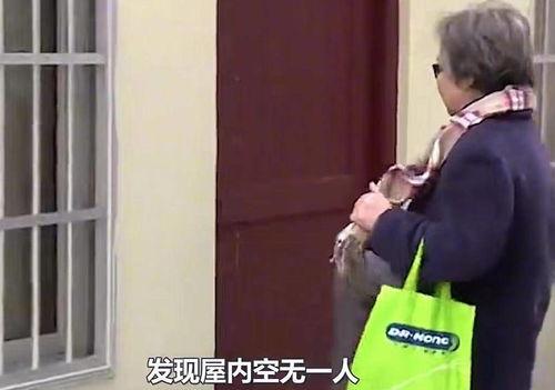 教授 人妻 丝袜,一场别开生面的情感纠葛