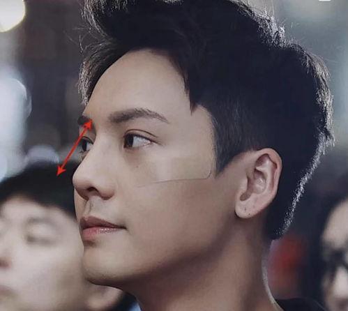 鼻子挺的男明星,盘点那些鼻梁高挺的男明星