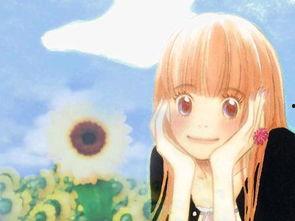 无码动漫百度网盘下载,百度网盘下载攻略全解析