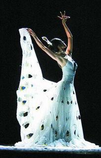 杨丽萍视频舞蹈,探寻民族文化的灵魂舞动