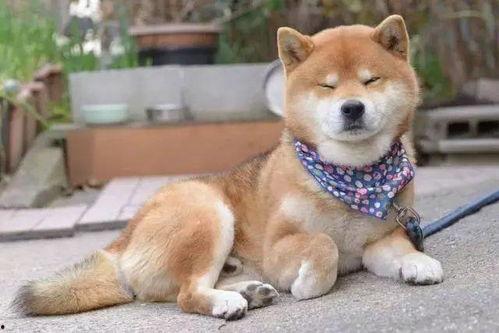 星盘娱乐圈吃瓜