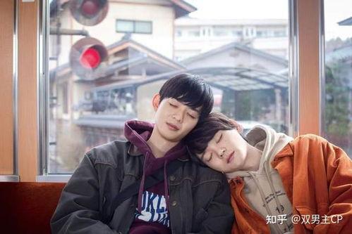 娱乐圈吃瓜小说双男主推荐,甜蜜互动,揭秘幕后风云